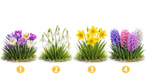 Katero spomladansko cvetlico bi izbrali? Test, ki pokaže vašo pravo osebnost