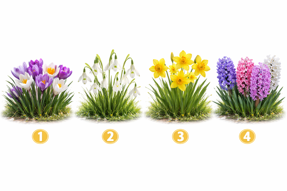 Pomlad je tu in z njo narava ponovno oživi v vseh svojih barvah. Vsaka cvetlica nosi svojo simboliko in energijo. …