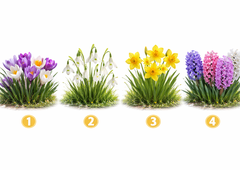 Katero spomladansko cvetlico bi izbrali? Test, ki pokaže vašo pravo osebnost