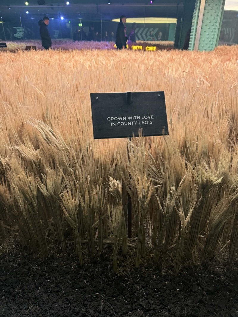 Guinness Storehouse Dublin