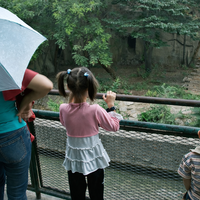 Turisti hitijo v živalski vrt, da bi videli nenavadno žival: tega prizora ne bodo nikoli pozabili