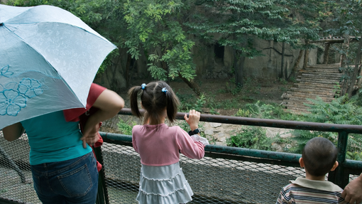 Turisti hitijo v živalski vrt, da bi videli nenavadno žival: tega prizora ne bodo nikoli pozabili