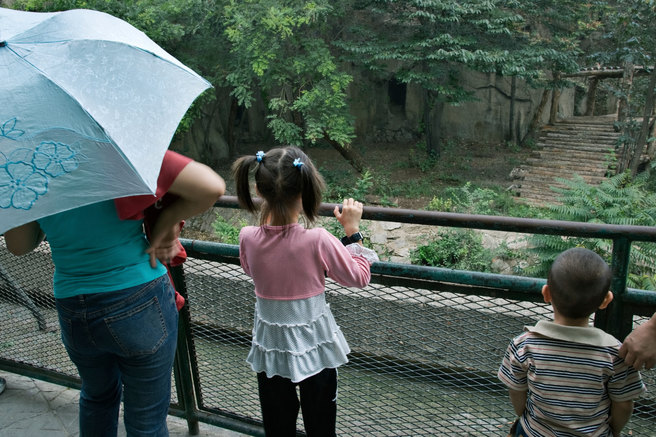 Turisti hitijo v živalski vrt, da bi videli nenavadno žival: tega prizora ne bodo nikoli pozabili