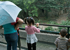 Turisti hitijo v živalski vrt, da bi videli nenavadno žival: tega prizora ne bodo nikoli pozabili
