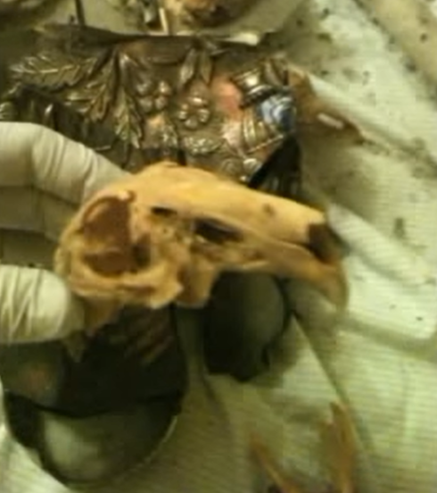 Kot iz nočne more: par kupil svoj sanjski dom, nato pa v njem odkril nekaj zloveščega