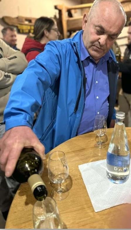 zidanica vino spricer