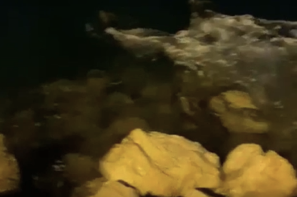 Moški se je zvečer vozil po Istu in obnemel ob pogledu v vodo: v šoku, ko je videl, kaj prihaja iz Jadranskega morja (foto: Posnetek zaslona)