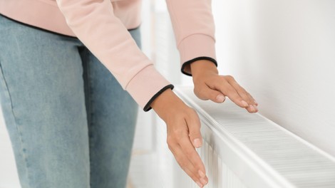 Biometan – domač obnovljiv vir za zanesljivo razogljičenje ogrevanja