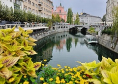 Slovenska prestolnica pometla s konkurenco in osvojila zavidanja vredno titulo