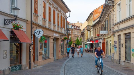 Ljubljana ulica