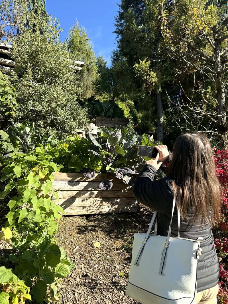 Park Zeleni raj Miha Kos rastline botanicni park