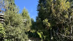 
                                                         Park Zeleni raj Miha Kos rastline botanicni park