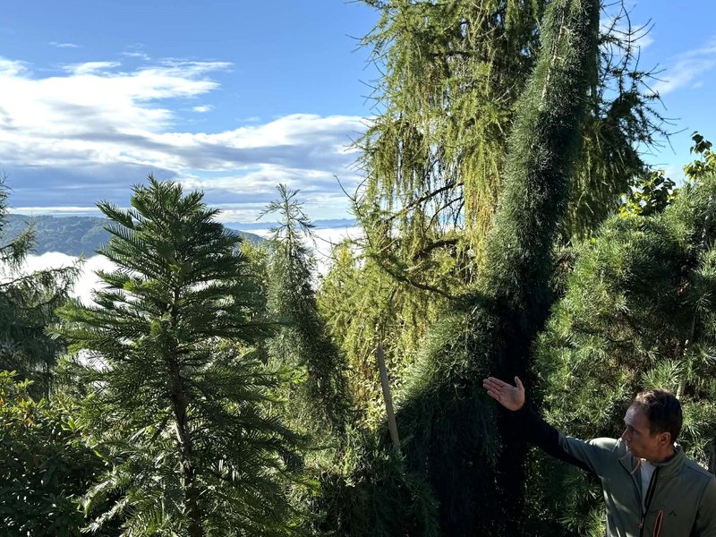 Park Zeleni raj Miha Kos rastline botanicni park