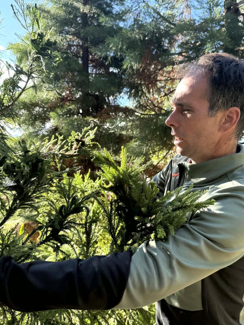 Park Zeleni raj Miha Kos rastline botanicni park