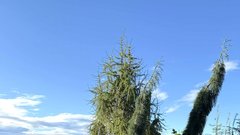 
                                                         Park Zeleni raj Miha Kos rastline botanicni park