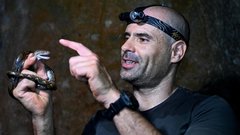 jama v kambodži, živali