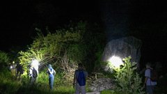 jama v kambodži, živali