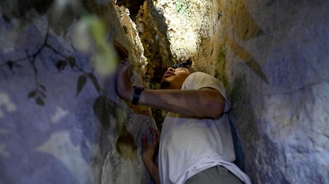 jama v kambodži, živali