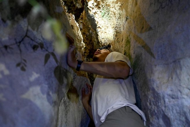 jama v kambodži, živali
