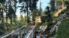 
                                                         Park Zeleni raj Miha Kos rastline botanicni park