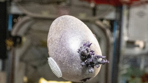 NASA v na vesoljski postaji fotografirala nekaj, kar je ljudem nagnalo strah v kosti: "Zažgite to!"