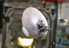 NASA v na vesoljski postaji fotografirala nekaj, kar je ljudem nagnalo strah v kosti: "Zažgite to!"