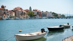 srebrna strupena napihovalka ribe jadran jadransko morje strup nevarnost hrvaska opozorilo (2)