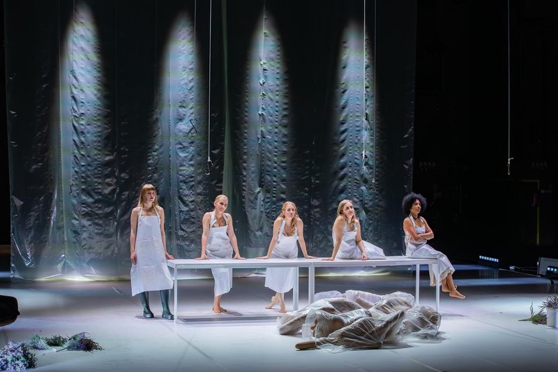 Katja Konvalinka opera platno