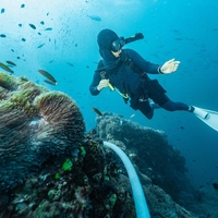 potapljač, nevarnost