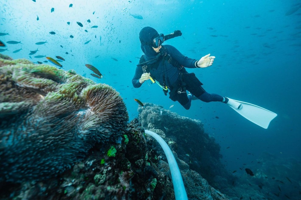 Užival je v potapljanju, ko se je za njim pojavila ogromna senca: "Zato se zdaj bojim oceana!" (foto: profimedia)