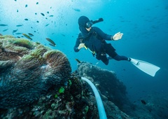 Užival je v potapljanju, ko se je za njim pojavila ogromna senca: "Zato se zdaj bojim oceana!"