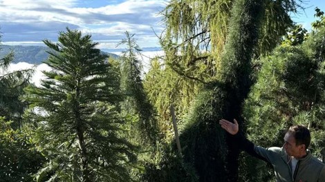 Park Zeleni raj Miha Kos rastline botanicni park