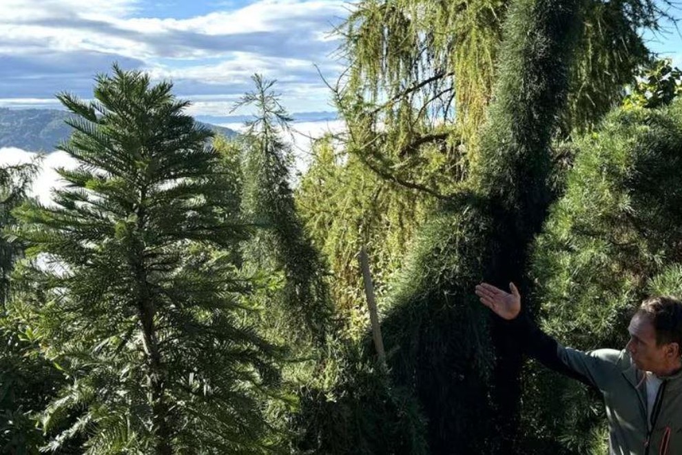 Park Zeleni raj Miha Kos rastline botanicni park