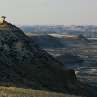 hells creek montana dinozaver zgodovina lobanja zob preteklost smrt zivali divjina