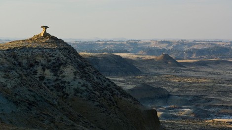 hells creek montana dinozaver zgodovina lobanja zob preteklost smrt zivali divjina