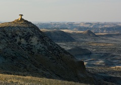 Znanstveniki obnemeli v smrtni grozi: v starodavno lobanjo je bilo zagozdeno nekaj, zaradi česar so povsem prebledeli