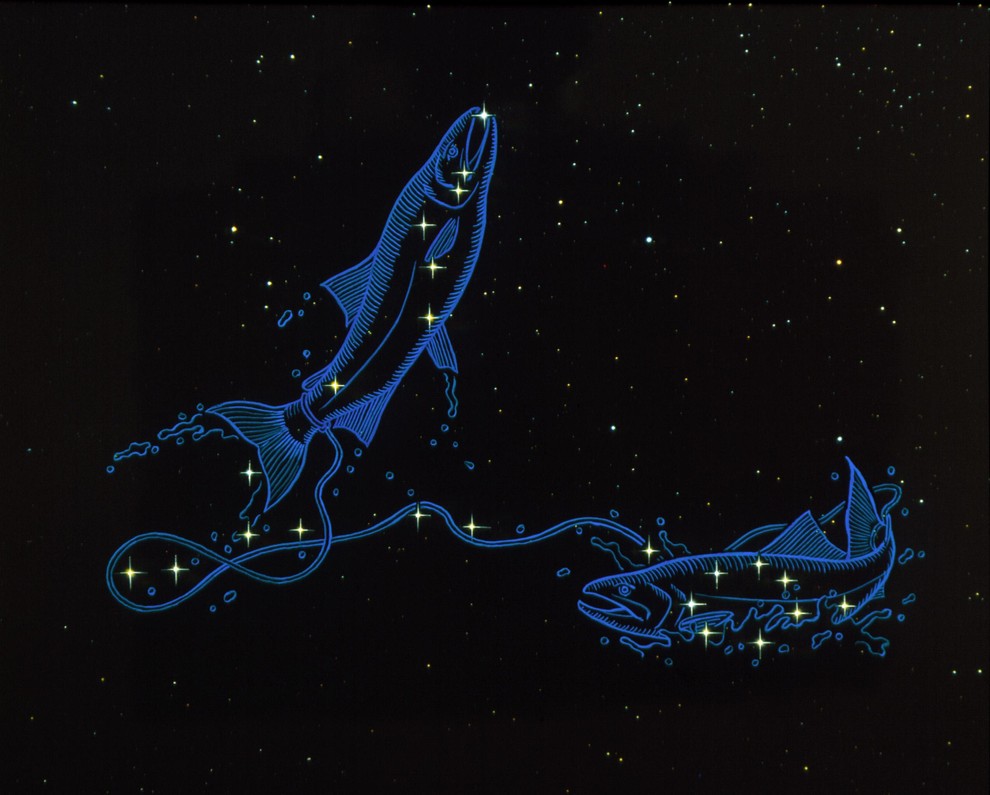 RIBE VELJAJO ZA VEČNE PORAŽENCE Astrologi izpostavljajo več razlogov, zakaj se prav ribe pogosto znajdejo v težjih življenjskih situacijah. Po …