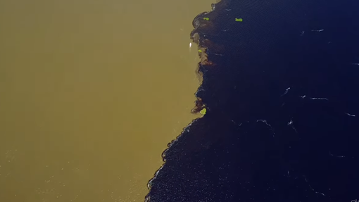 Poglejte dve reki, ki se srečata, a se ne mešata: ni fotomontaža, temveč čudež narave