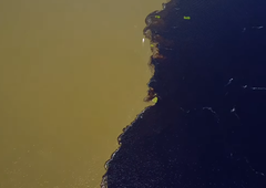 Poglejte dve reki, ki se srečata, a se ne mešata: ni fotomontaža, temveč čudež narave