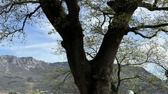 Vipavska dolina bitka boj vojscaka