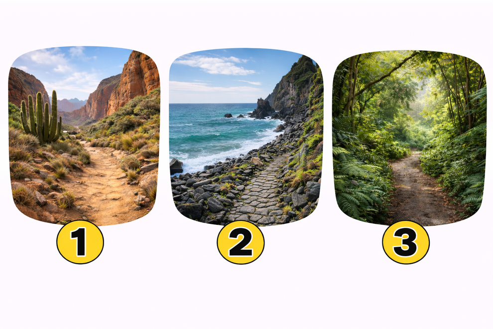 Pred vami so tri poti, vsaka s svojo energijo in pomenom. Ne razmišljajte predolgo – izberite tisto, ki vas najbolj …