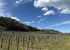 Na prvi pogled umirjena slovenska pokrajina v sebi skriva zgodbo, ki je spremenila tok evropske zgodovine