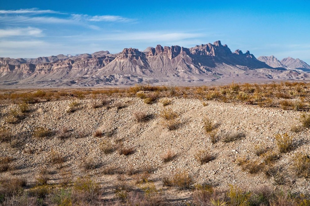 Fotografija je simbolična. (foto: Profimedia)