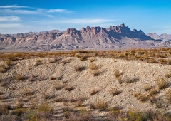 Sredi puščave stoji najbolj nenavadna trgovina na svetu: vanjo ne sme vstopiti nobena stranka