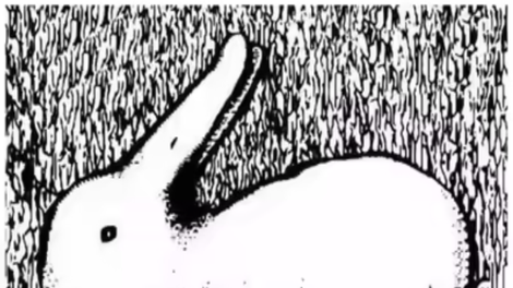 Kaj najprej opazite na sliki? Optična iluzija, ki razkriva, kako deluje vaš um