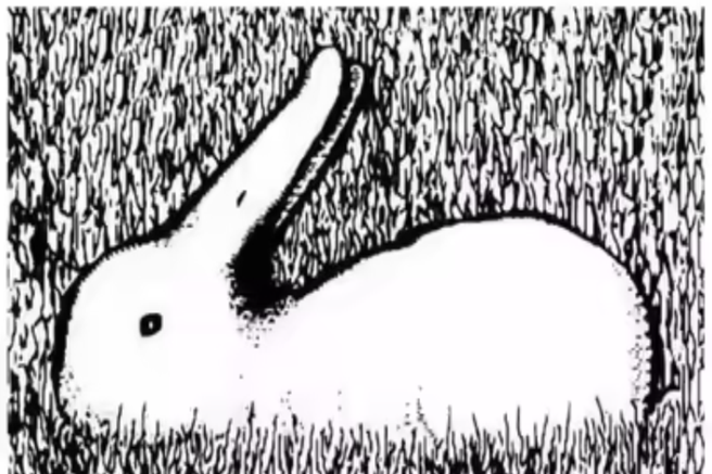 Kaj najprej opazite na sliki? Optična iluzija, ki razkriva, kako deluje vaš um