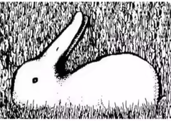 Kaj najprej opazite na sliki? Optična iluzija, ki razkriva, kako deluje vaš um