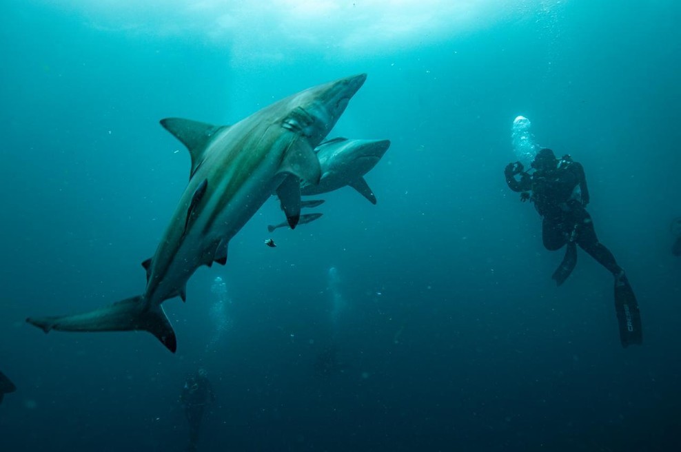 Fotografija je simbolična. (foto: Profimedia)
