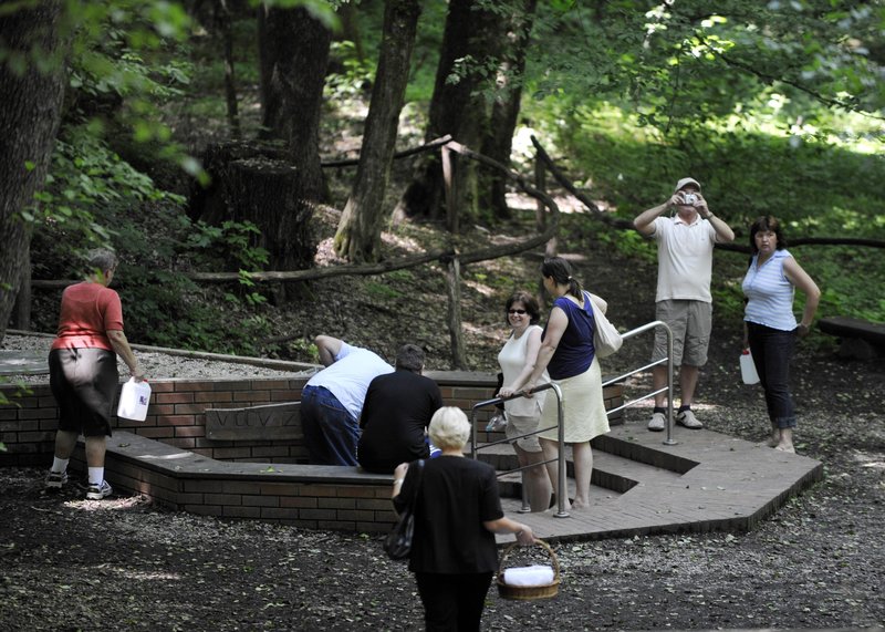 Bukovnisko jezero Vidov izvir