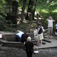 Bukovnisko jezero Vidov izvir